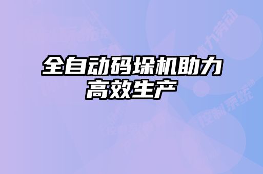 全自動碼垛機助力高效生產(chǎn)