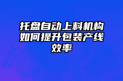 托盤自動上料機(jī)構(gòu)如何提升包裝產(chǎn)線效率