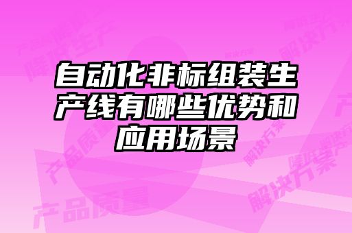 自動化非標組裝生產(chǎn)線有哪些優(yōu)勢和應用場景