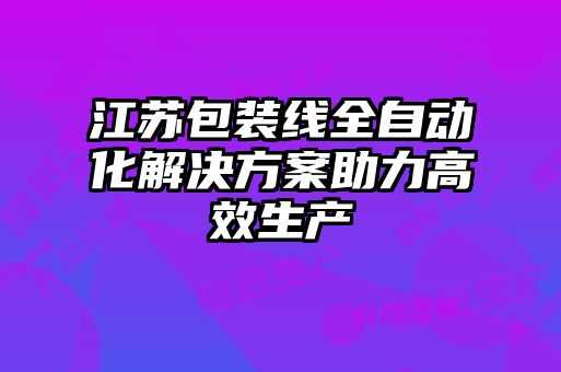 江蘇包裝線全自動(dòng)化解決方案助力高效生產(chǎn)