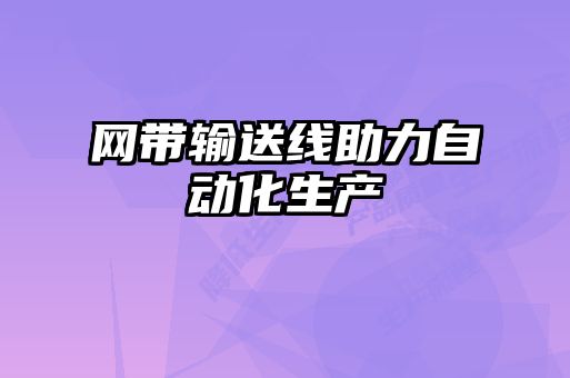 網帶輸送線助力自動化生產