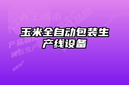 玉米全自動(dòng)包裝生產(chǎn)線(xiàn)設(shè)備