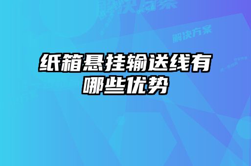 紙箱懸掛輸送線有哪些優(yōu)勢(shì)